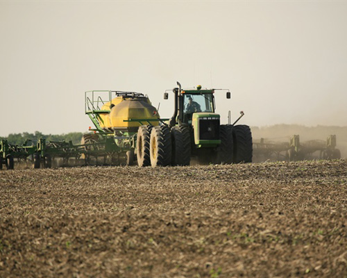 Conventional Fertilizer Field